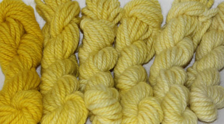 Bulky - Tansy. Hand dyed, bulky rug weight, 100% wool yarn in a pack of 6 yellow gradated color values. 3-ply, approx 260 yds per lb.