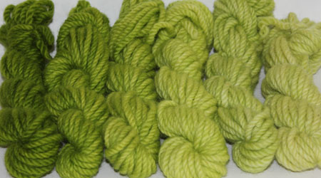 Moss: Yellow green, hand dyed, bulky rug weight, 100% wool yarn in 6 color values for fine shading for rug hooking and punching.
