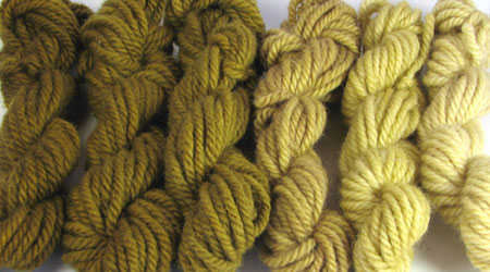 Goldenrod: yellow orange, hand dyed, bulky rug weight, 100% wool yarn in 6 color values for fine shading for rug hooking and punching.