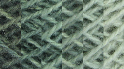 Lichen: green, hand dyed, worsted weight, 100% wool yarn in 8 color values for fine shading for rug hooking and punching.