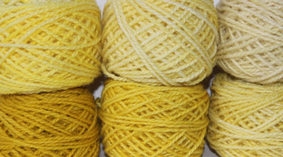 Tansy: yellow, hand dyed, worsted weight, 100% wool yarn in 8 color values for fine shading for rug hooking and punching.